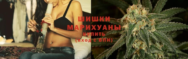 МДПВ Краснослободск