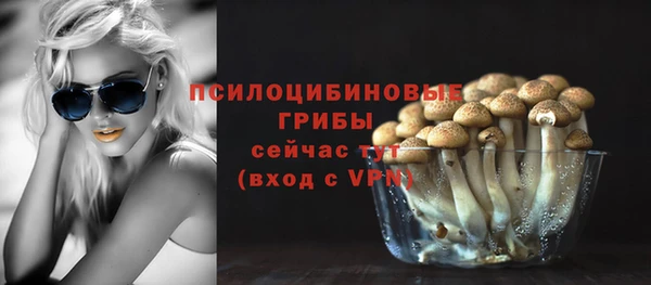 МДПВ Краснослободск