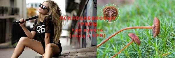 МДПВ Краснослободск